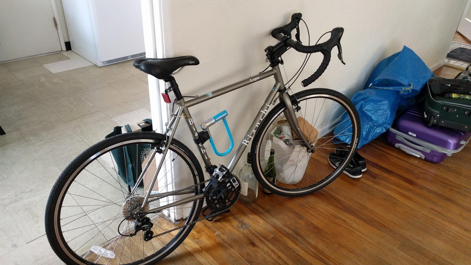 2016 Bianchi LUPO Silver, gray or bare metal