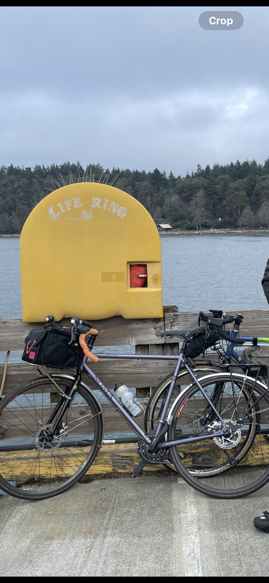 Soma Double Cross Disc Purple