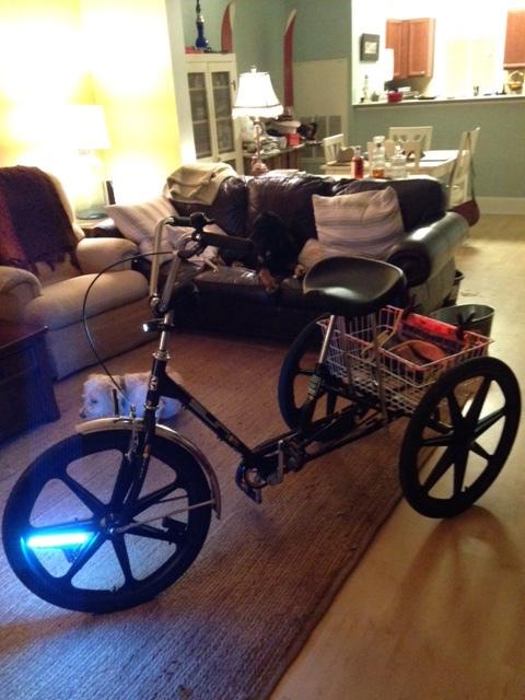 2015 Sun Sun tricycle Black