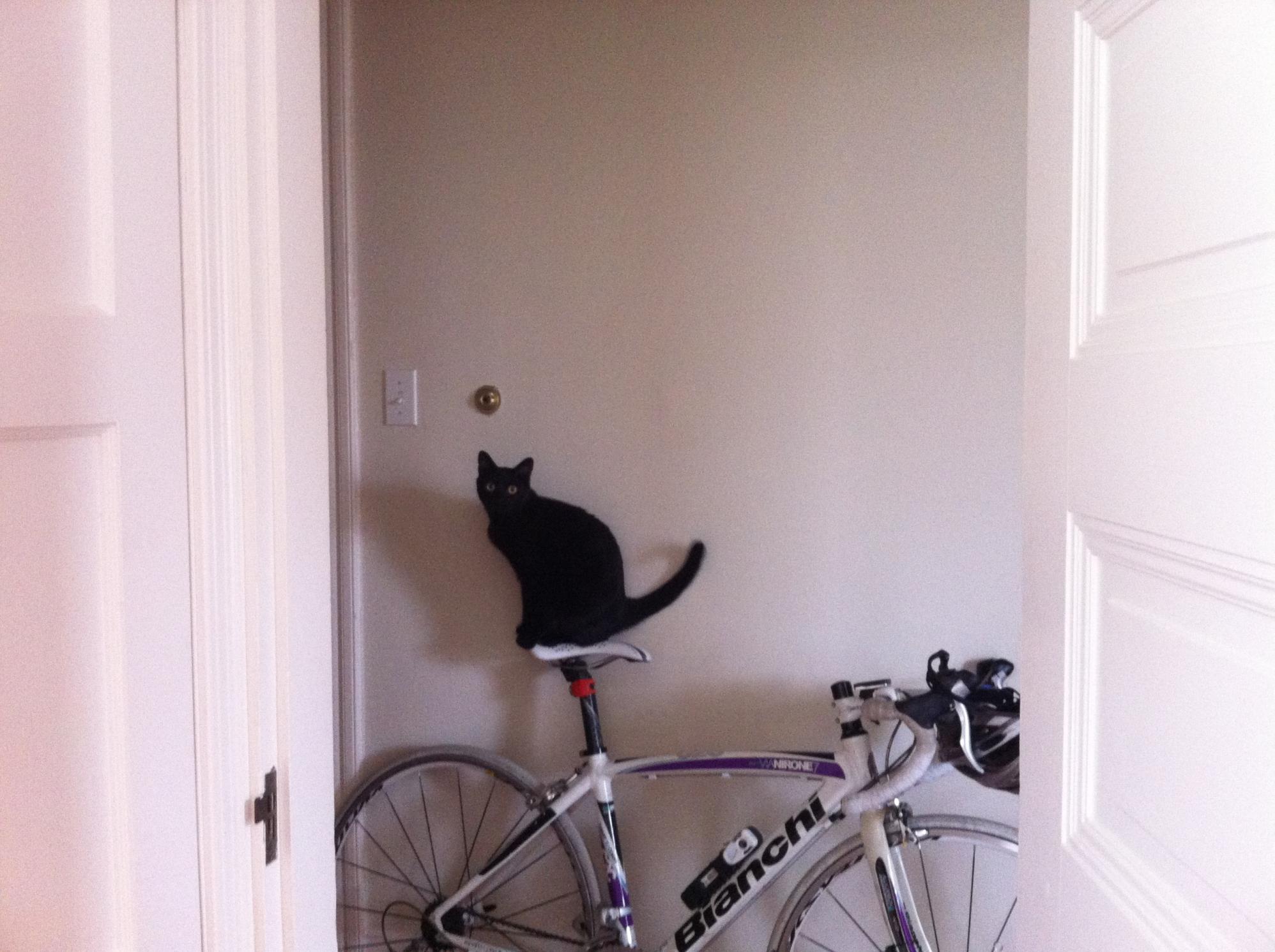 2011 Bianchi Via Nirone 7 Sora White