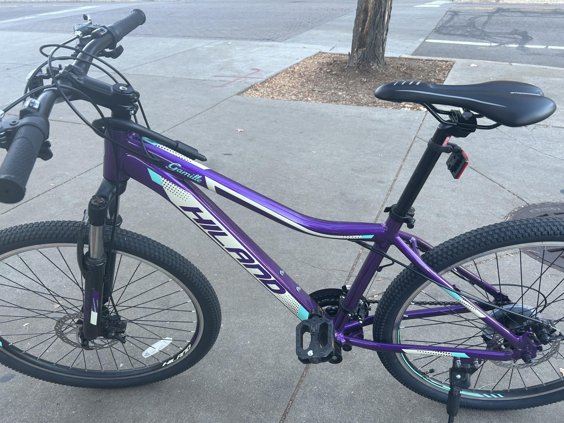 2023 Hiland Gamille Purple and Green