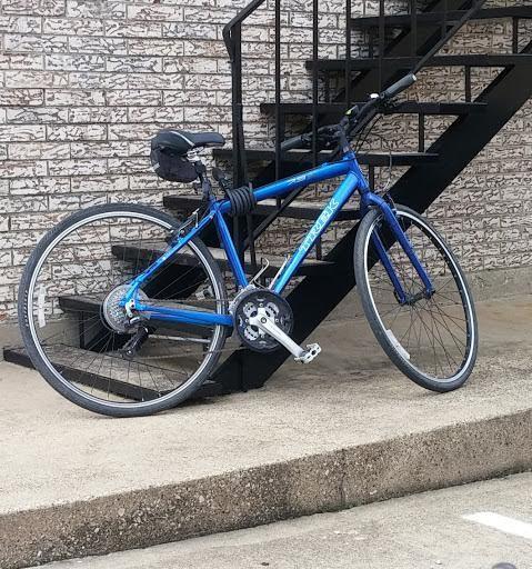 2009 Trek 7.3 FX Blue