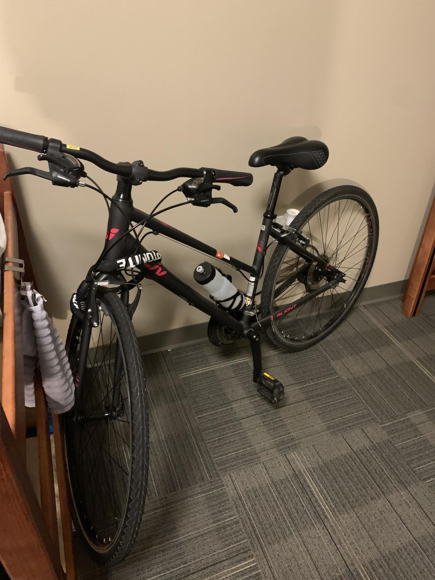 2019 Giant Liv Alight 3 Black