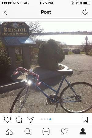 Schwinn Traveler Blue