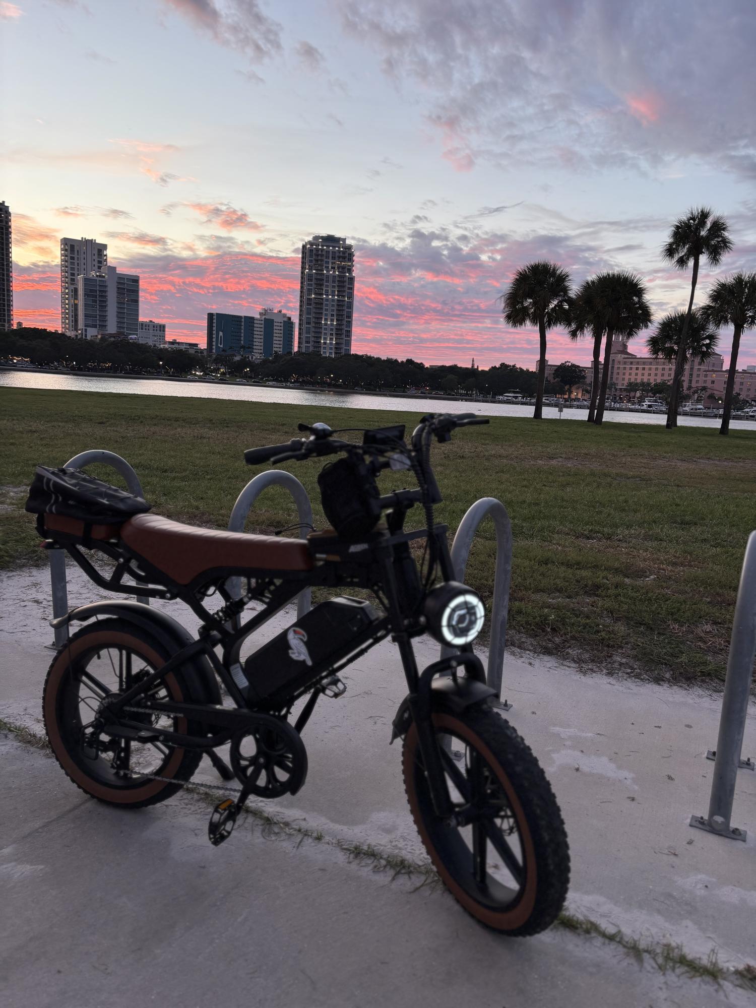 2025 TamoByke Black and Brown