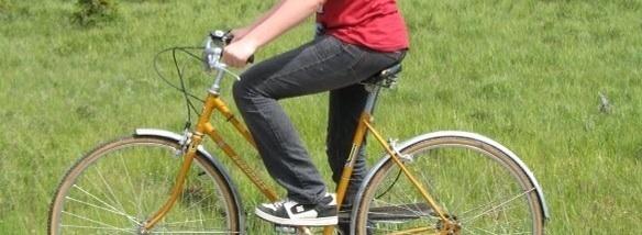 Other Suburban  Brown