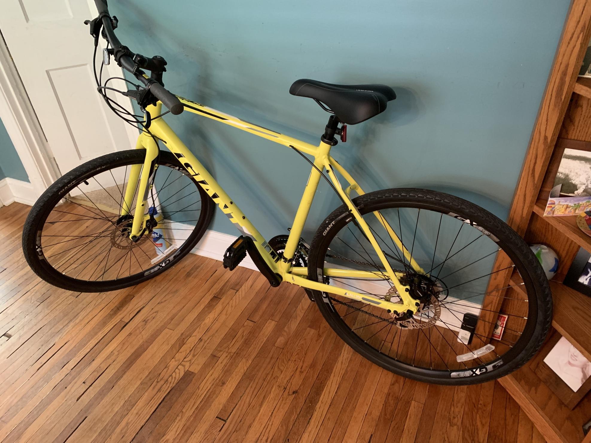 2019 Giant Large Yellow or Gold