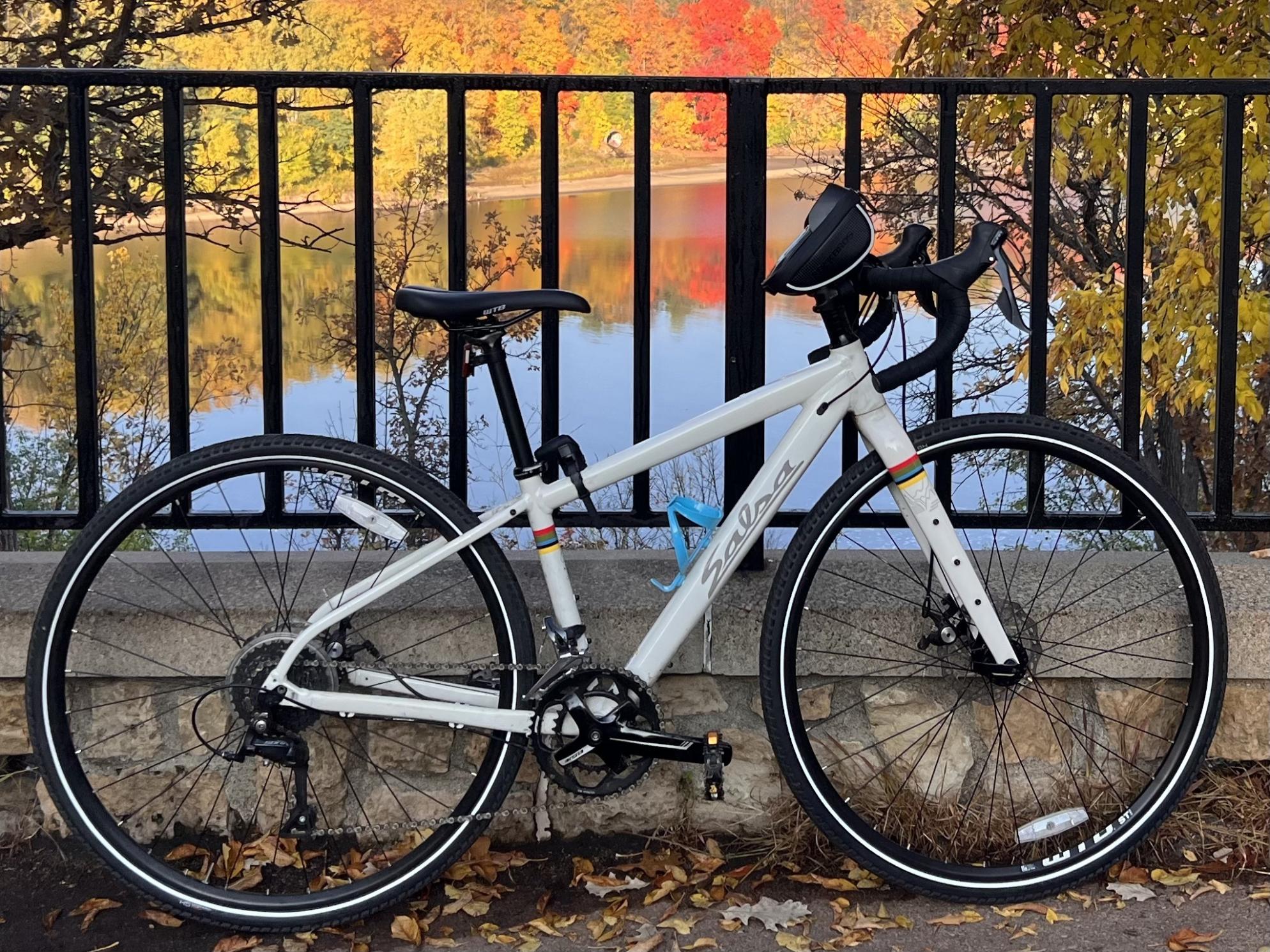 Salsa Journeyman White