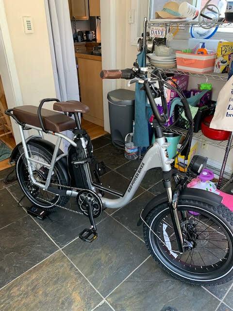 2022 Rad Power Bikes Radrunner Plus cargo bike (rear storage) Silver, gray or bare metal