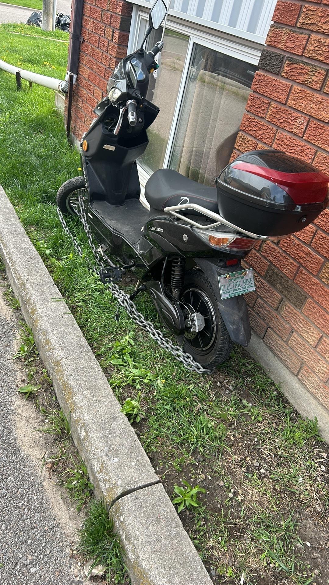 2017 Daymak Chameleon Black