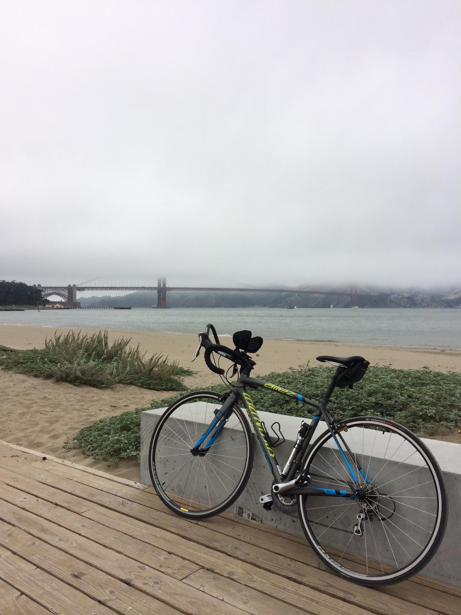 2015 Specialized Silver or Gray and Green