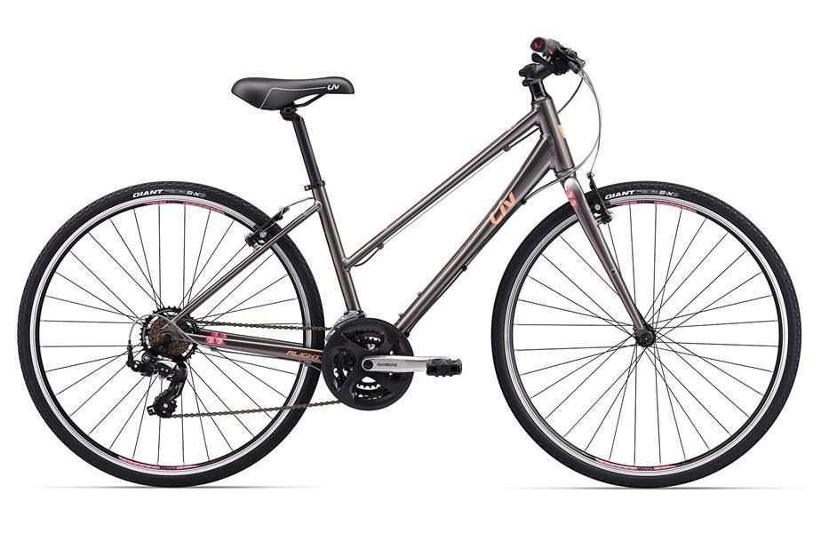 2017 Giant Alight 3 Silver or Gray