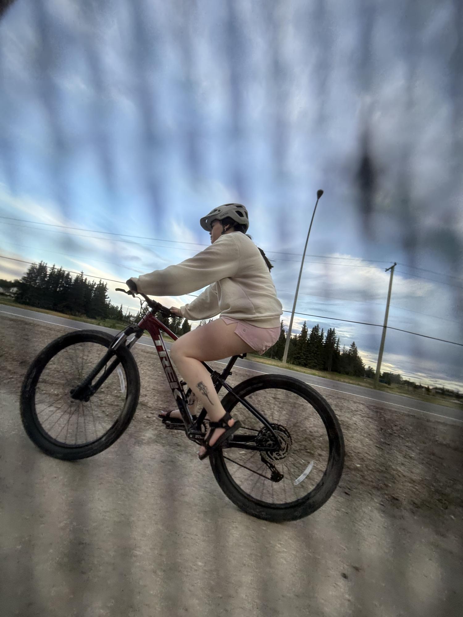 2025 Trek Marlin 6 Blue and Red