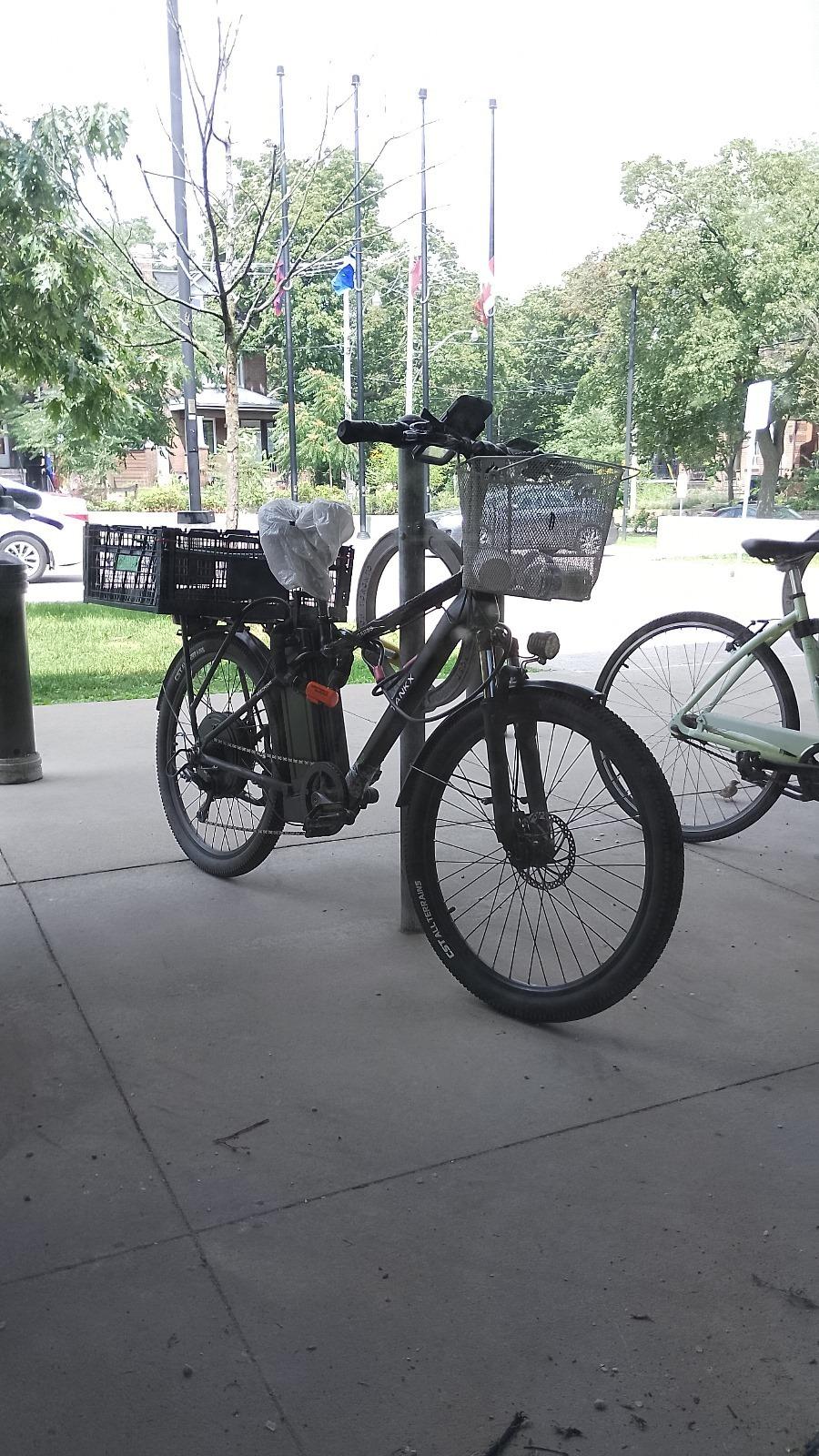 2022 TANKX TANKX CARGO Black