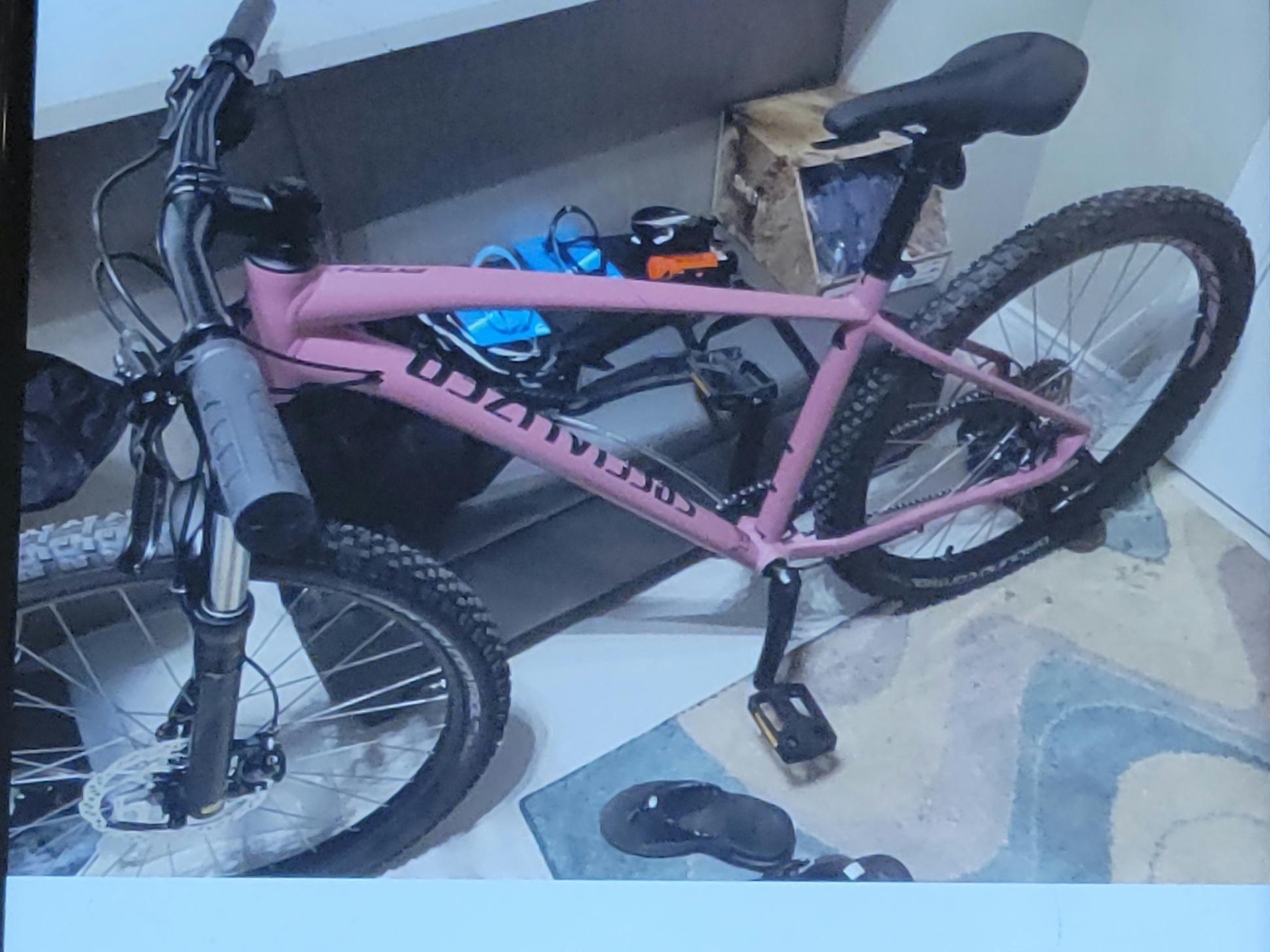 2020 Specialized Pitch Expert Pink