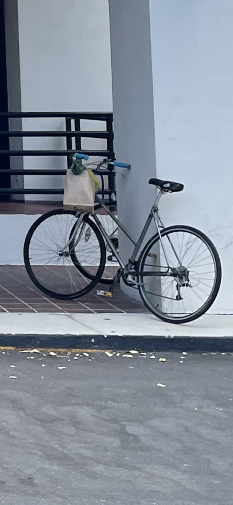 1983 Schwinn Sprint Silver, gray or bare metal