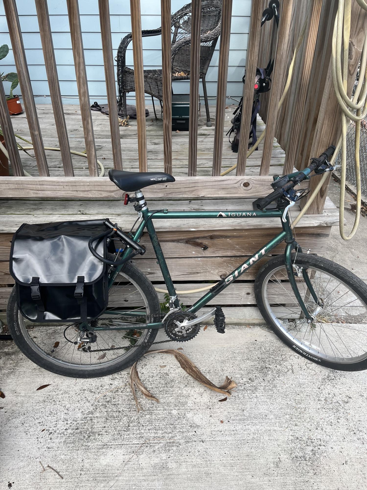 2024 Giant Iguana Green