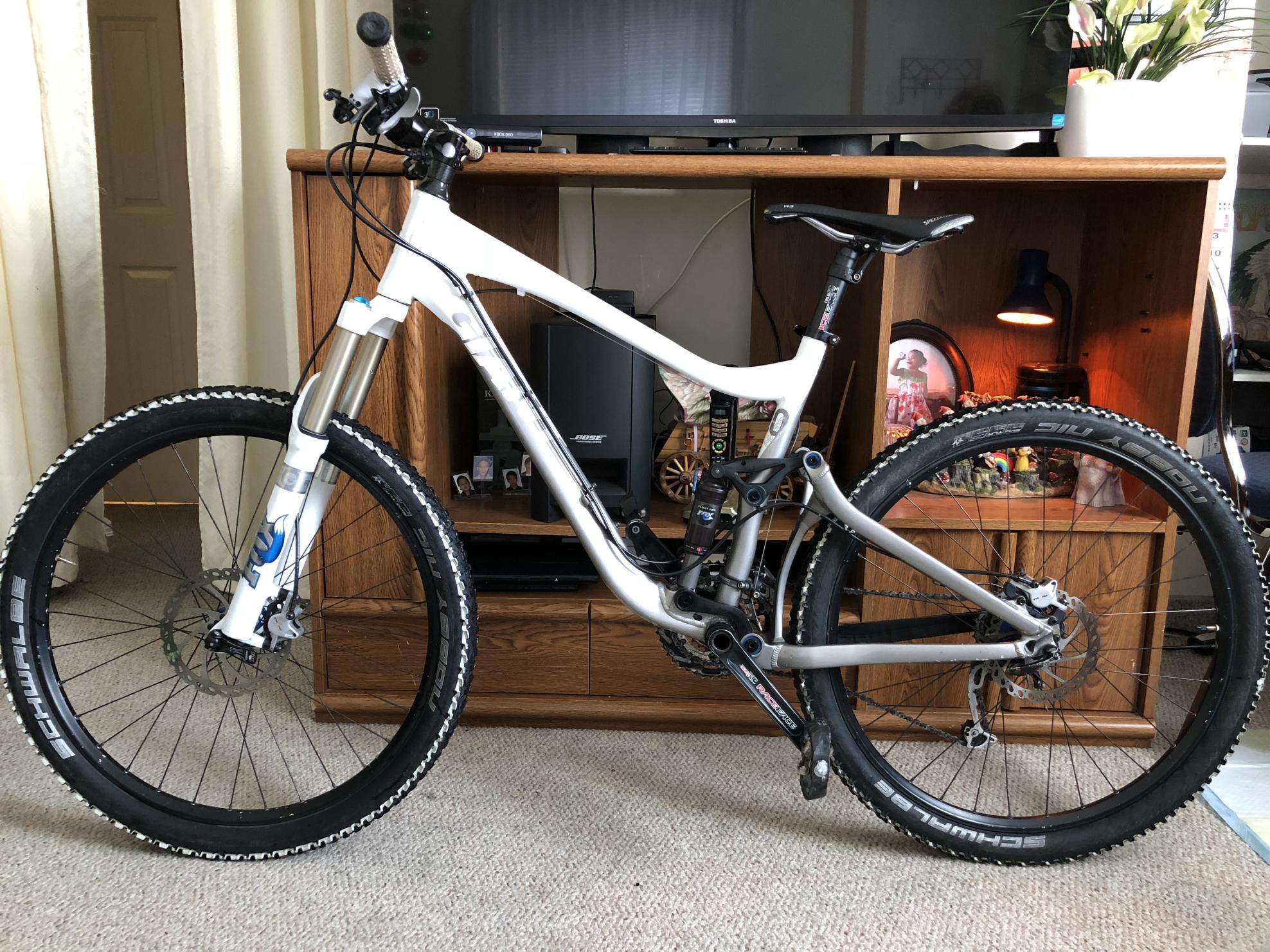 2010 Giant Giant trance X2 White and Silver, gray or bare metal