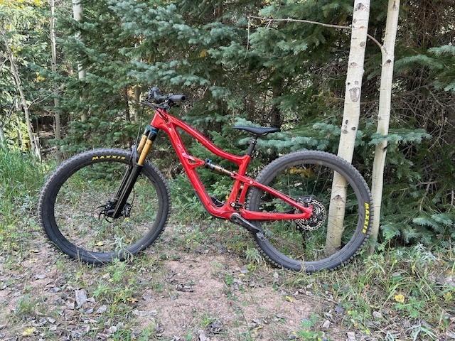 2024 Ibis Ripley Red