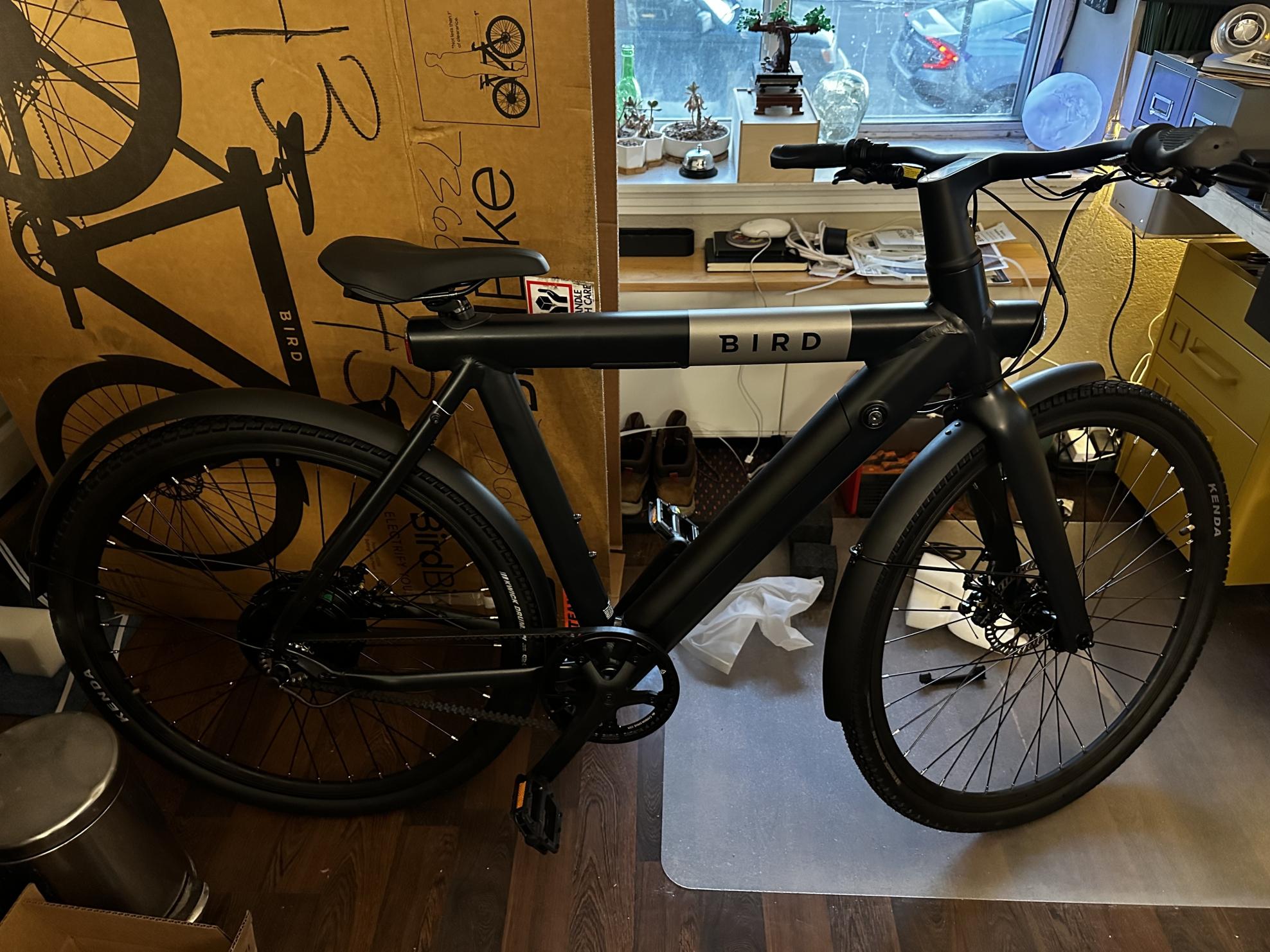 2021 Bird A Frame Black