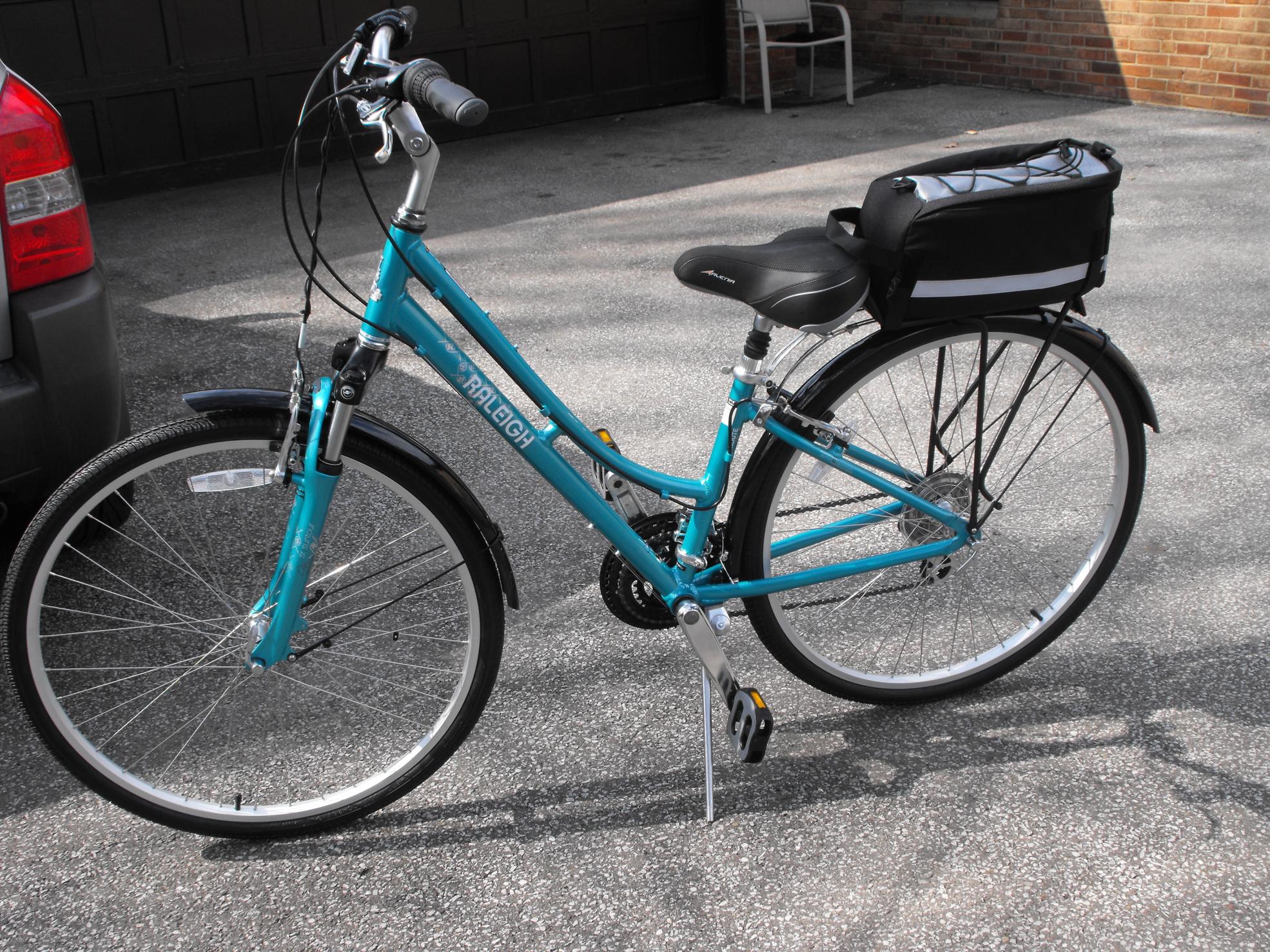 2010 Raleigh Teal