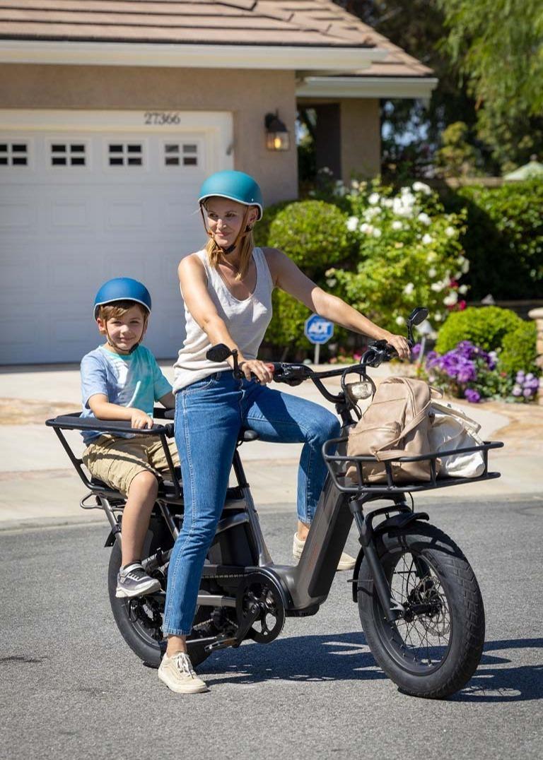 2024 Momentum Cito cargo bike (rear storage) Silver, gray or bare metal
