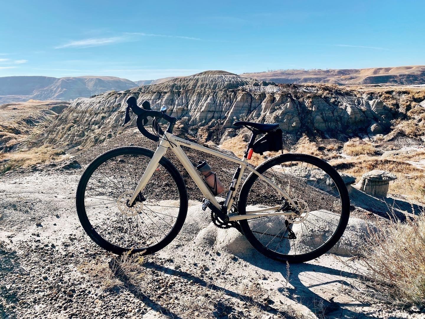 2020 Cannondale Topstone 105 Brown
