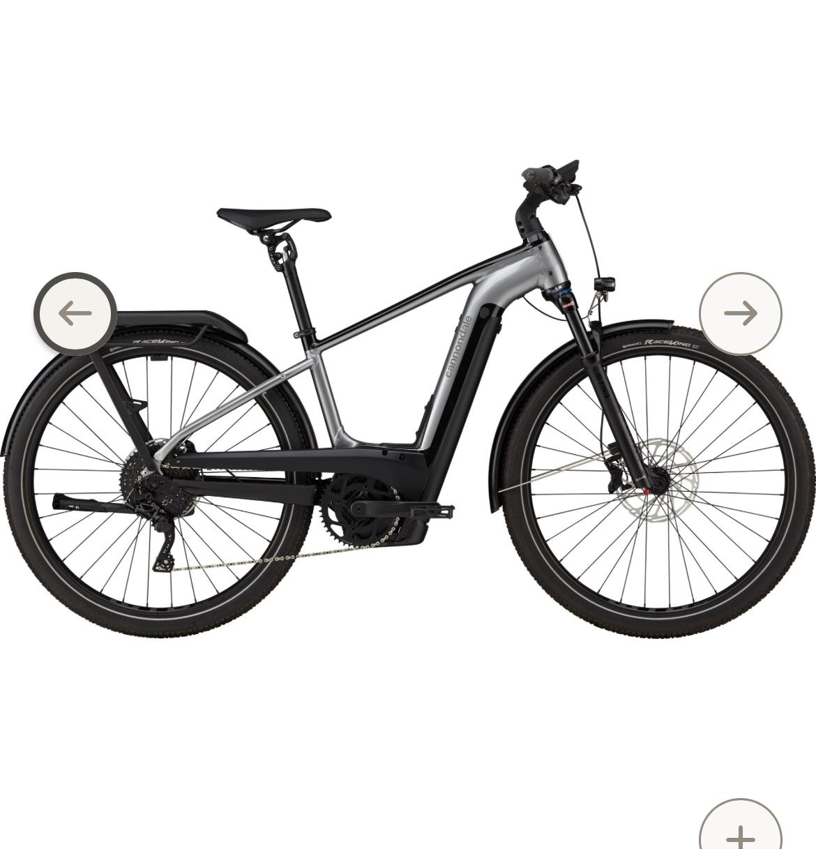 2024 Cannondale Tesoro Neo X Silver, gray or bare metal