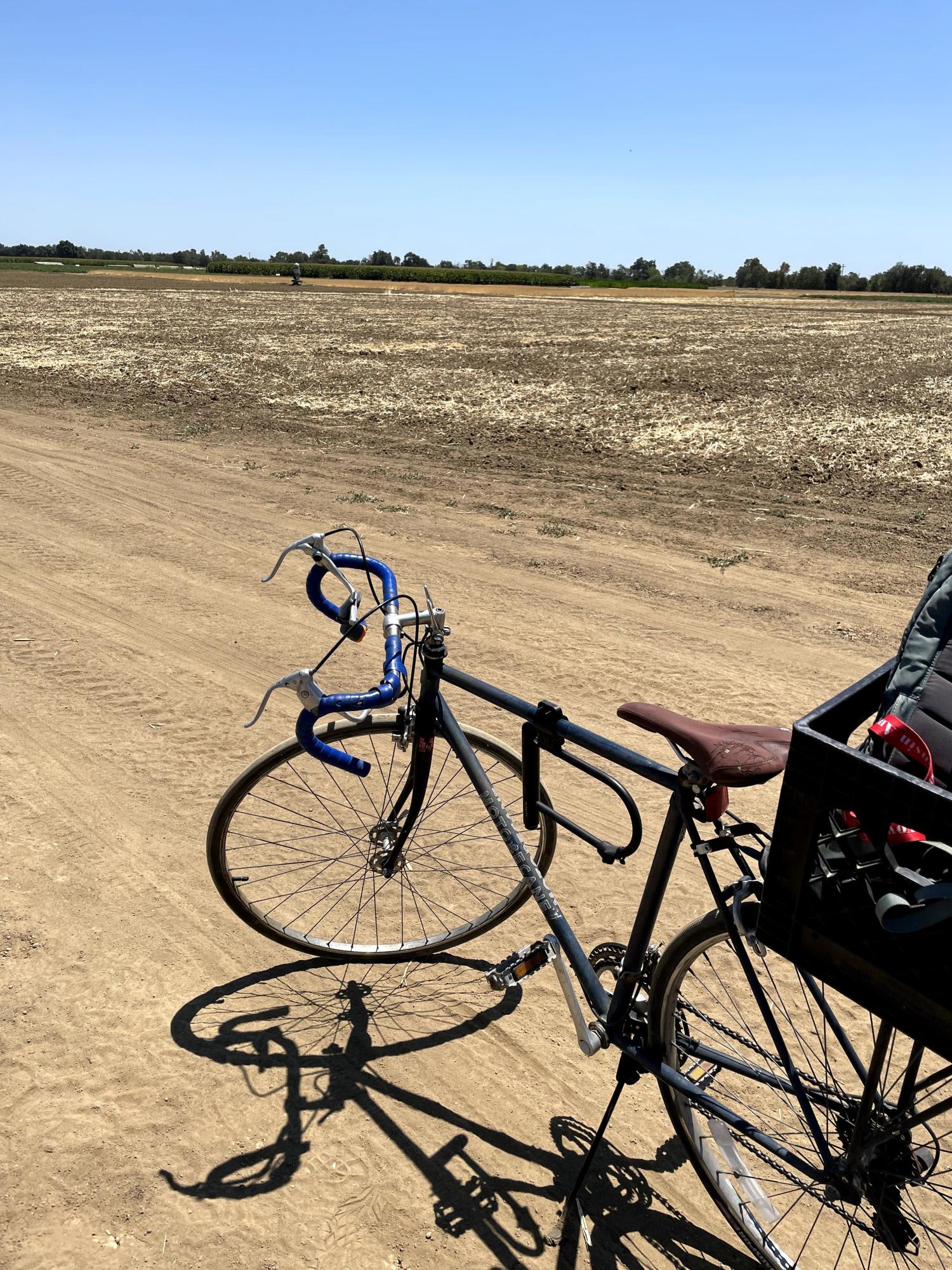 Motobecane Road bike steel Blue