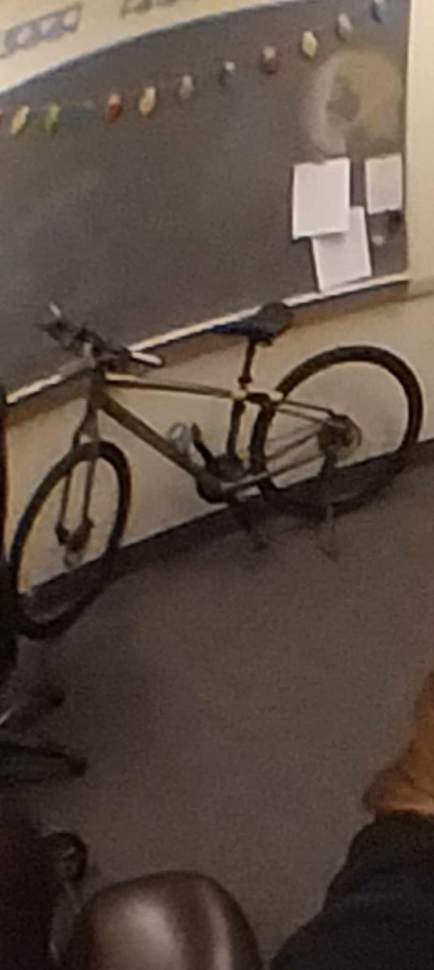 Trek Verve 3 Silver, gray or bare metal