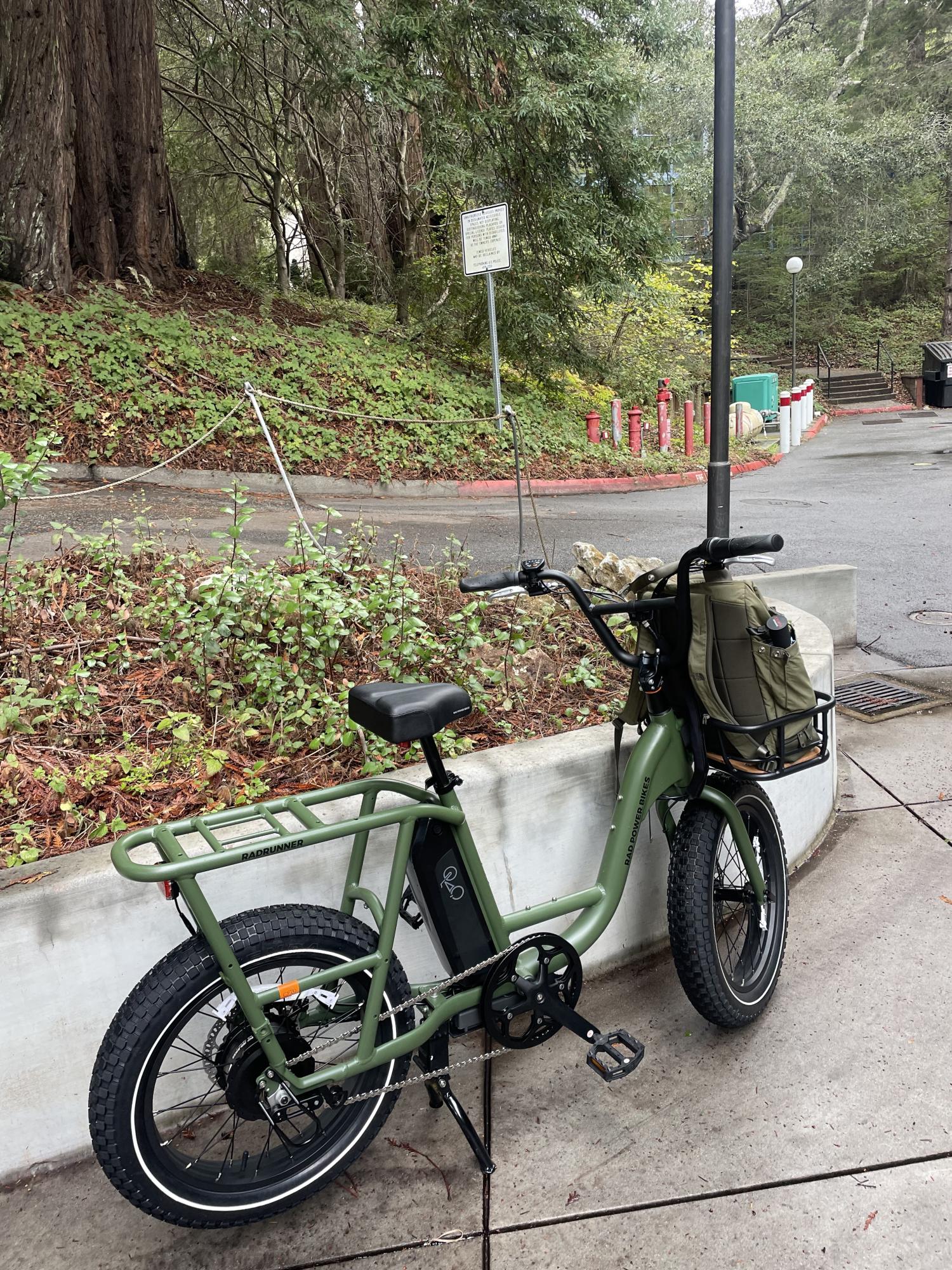 2022 Rad Power Bikes RadRunner 2 Green