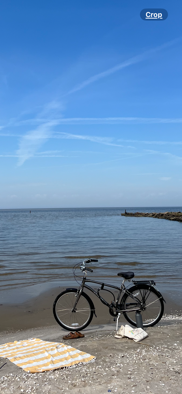 Raleigh Hybrid Silver, gray or bare metal