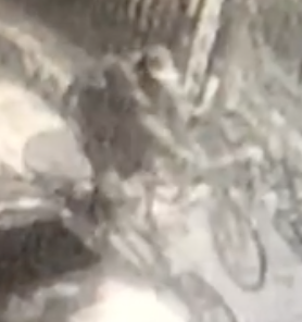 Surly Long Haul Trucker Green