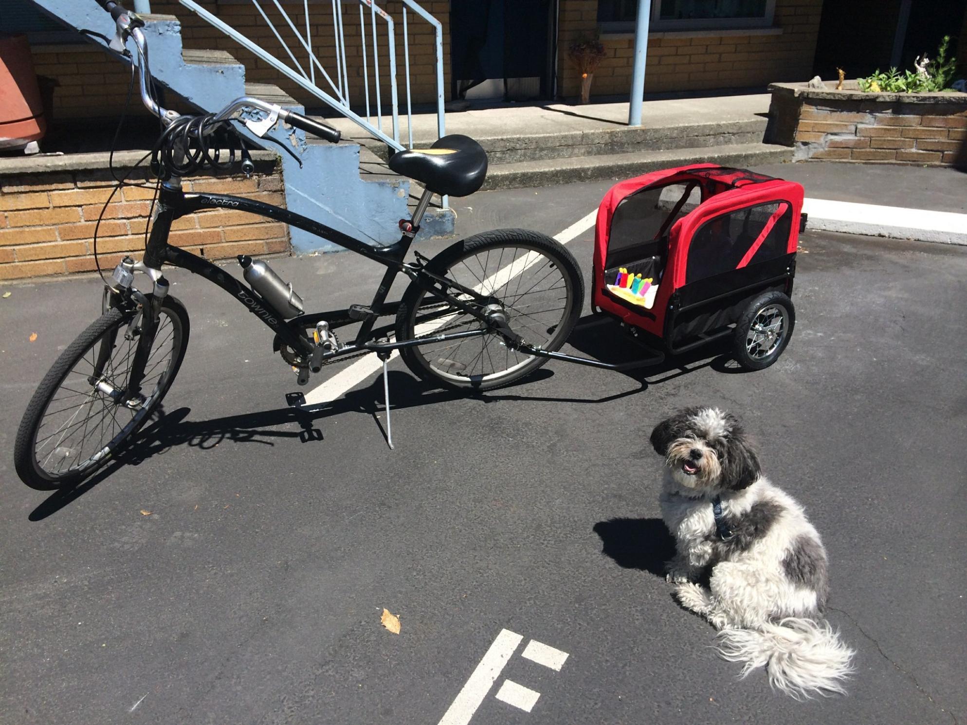 Electra Townie Black