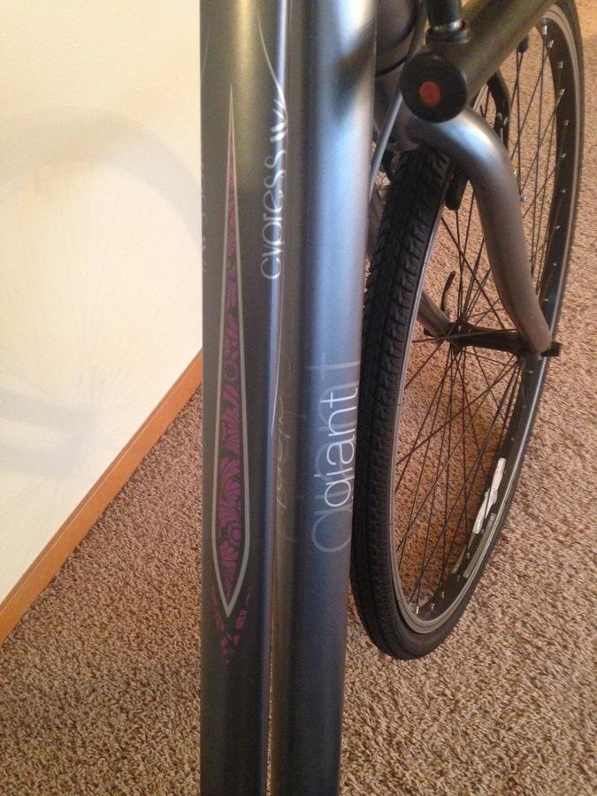 2013 Giant Cypress DX W Silver or Gray