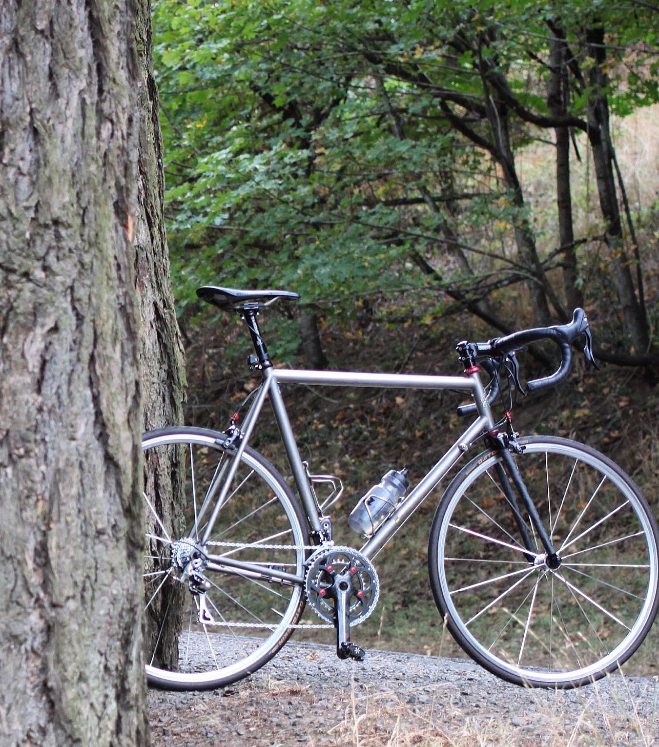 1999 Litespeed Catalyst Silver or Gray