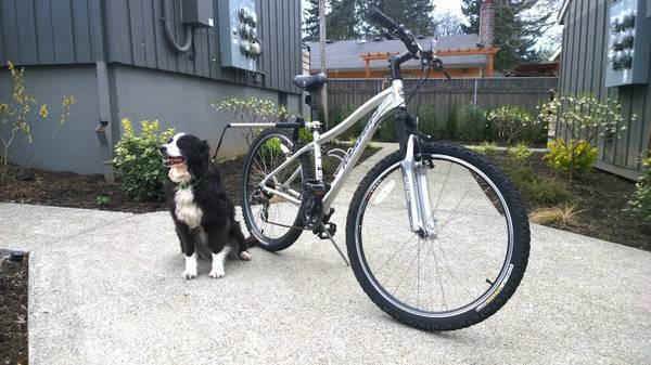 2006 Marin Bikes Bolinas Ridge Silver or Gray