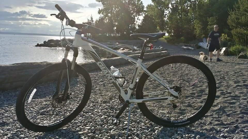 Giant Talon 29er 2 White