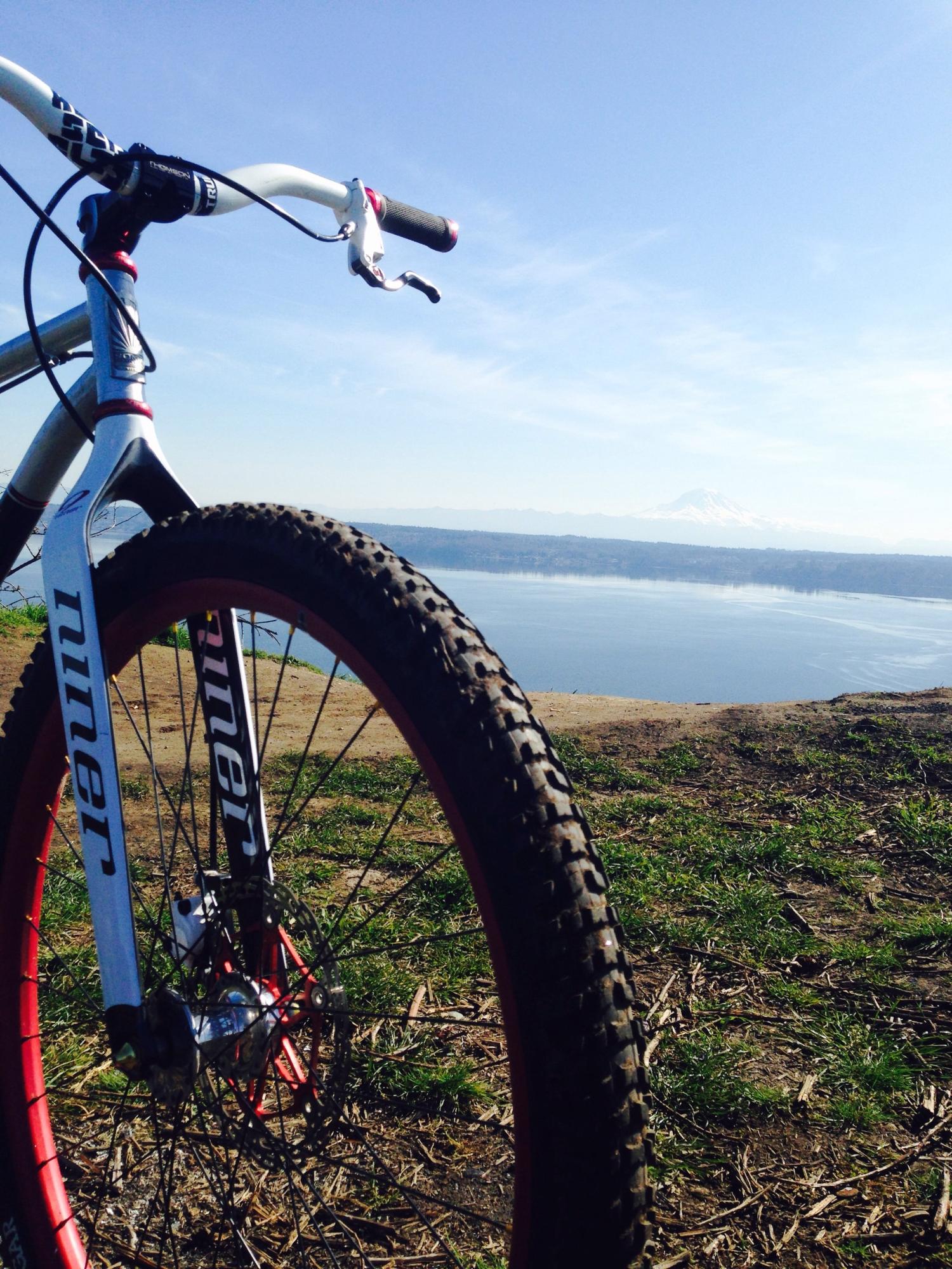 2014 Soma Juice 29er frameset Silver or Gray