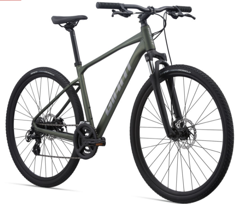 2020 Giant Roam Silver, gray or bare metal