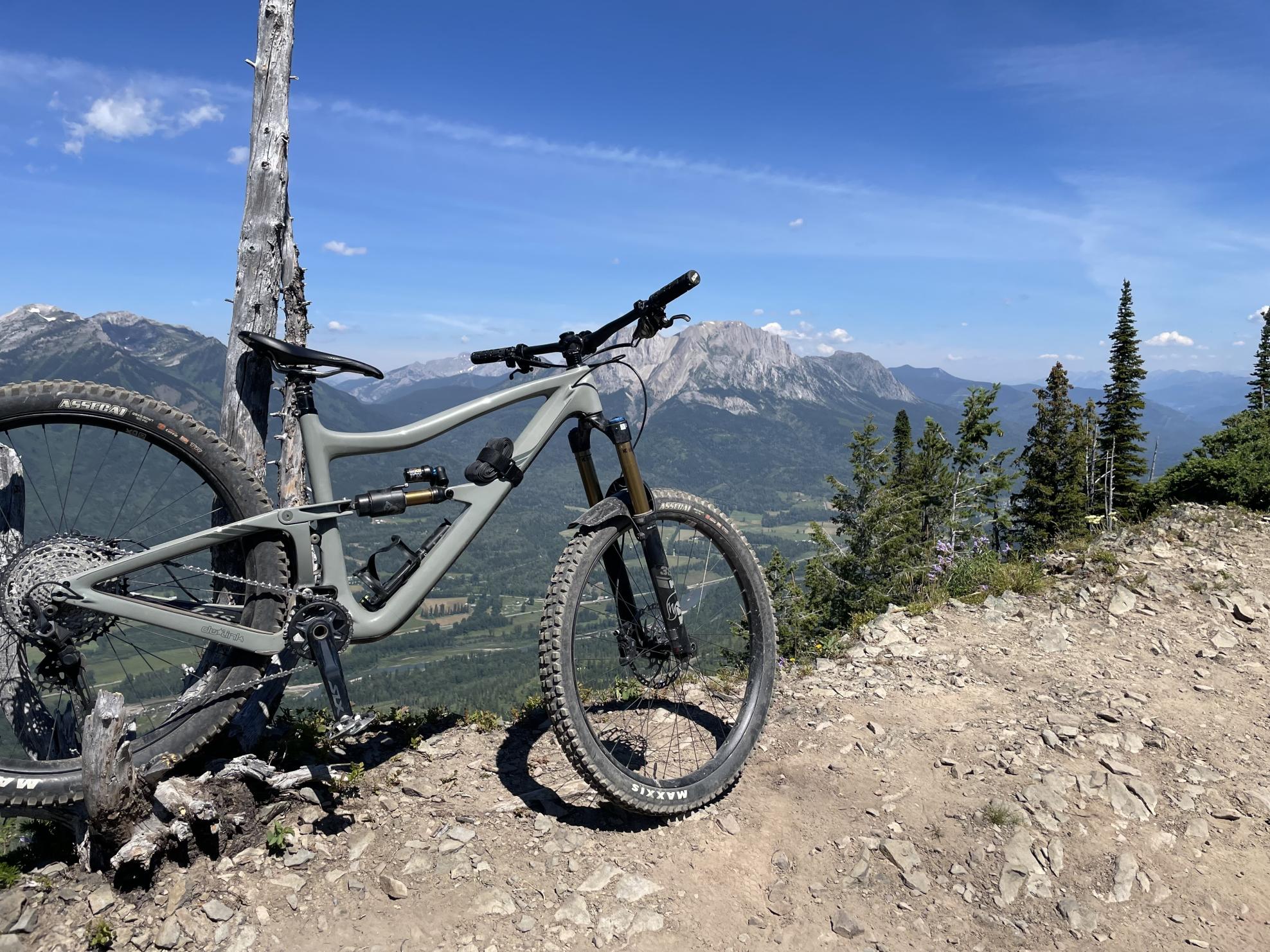 2022 Ibis Ripmo V2 Factory SLX Silver, gray or bare metal