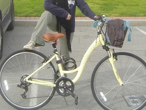 2006 Trek Yellow or Gold