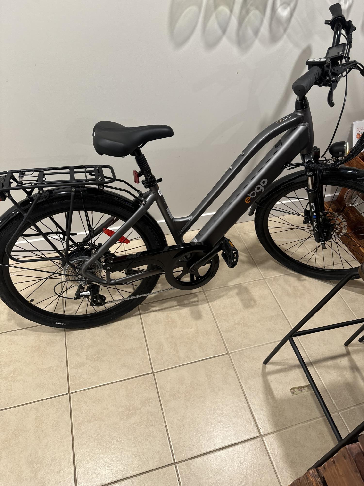 Ebgo Silver, gray or bare metal