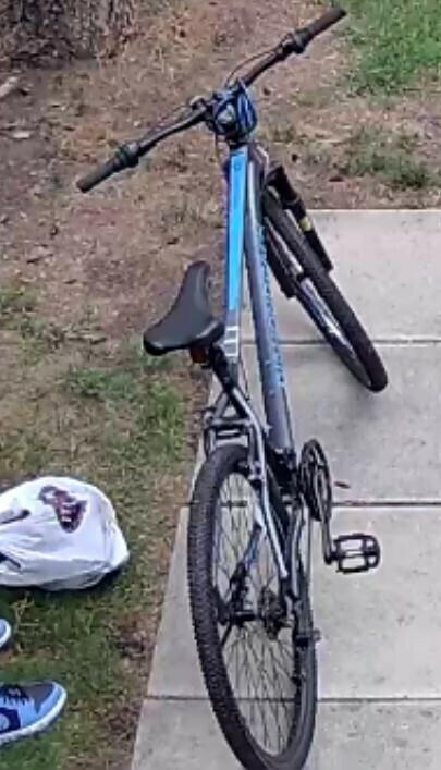 2023 Diamondback Moonraker Silver, gray or bare metal and Blue