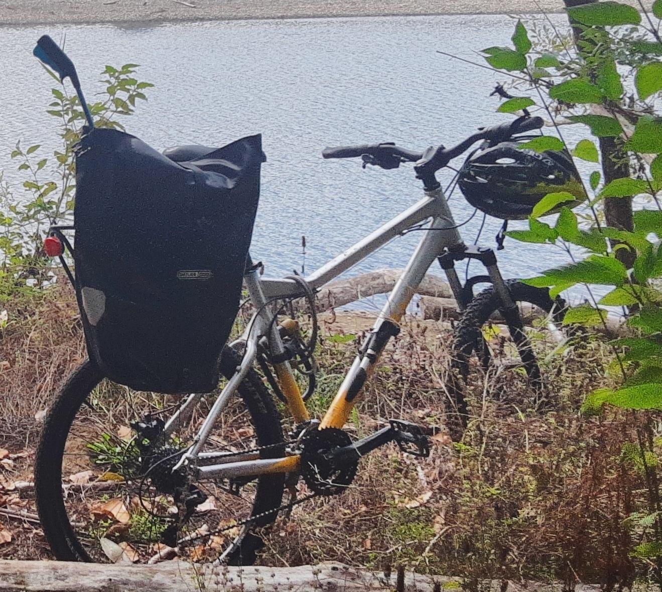 2008 Giant Yukon Silver, gray or bare metal and Yellow or Gold