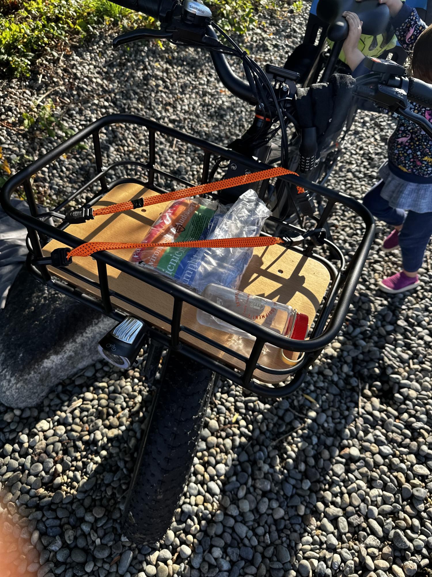 2023 Rad Power Bikes RadRover 6 Plus Black