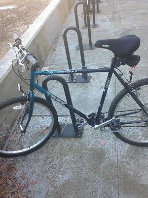 Mountain Trek 800  Black