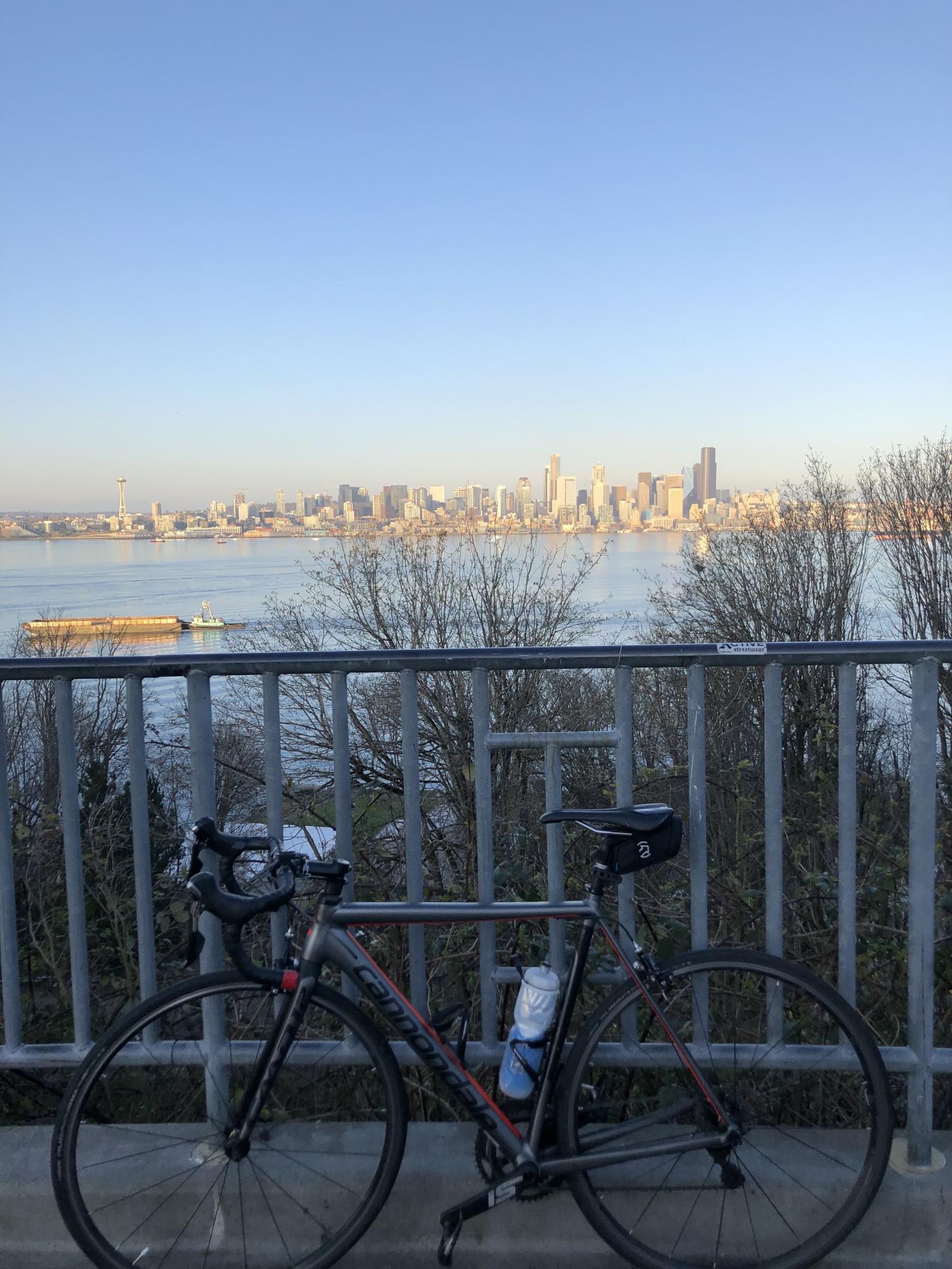 Cannondale Caad12 Silver, gray or bare metal and Red