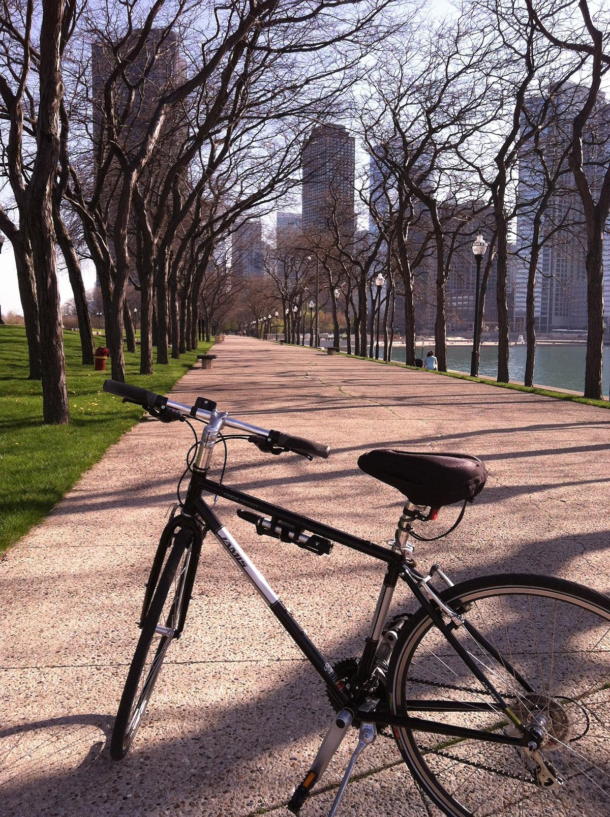 2013 Jamis Coda Sport  Black