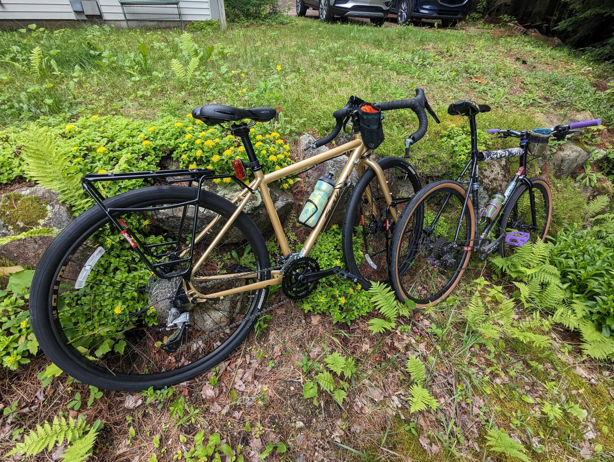 2021 Salsa Marrakesh Yellow or Gold